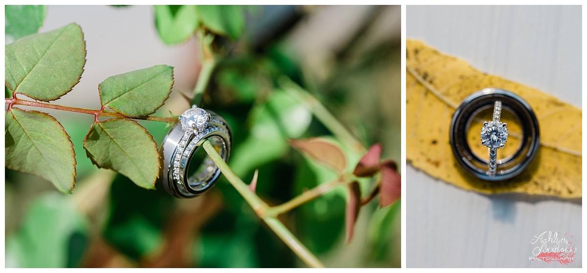 ring photo with leaves and rose bushes