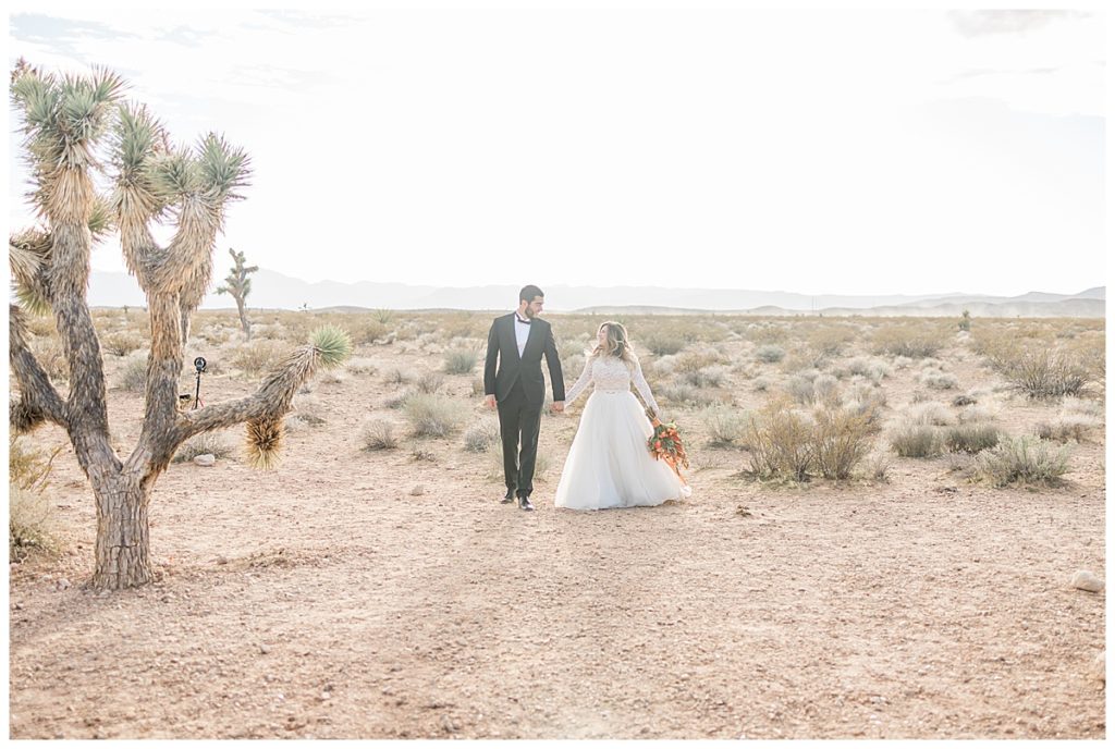 Bride and Groom Walking Through The Desert