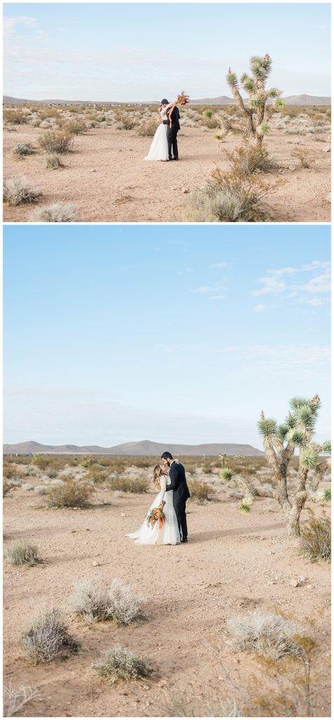 Bride and Groom In The Desert