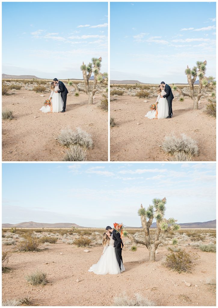 Bride and Groom In The Nevada Desert