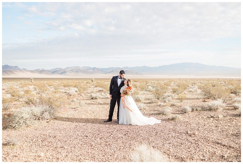 Bride and Groom In The Nevada Desert