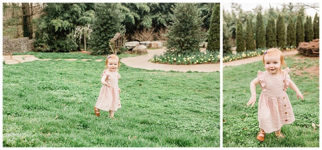 Two Year Old Birthday Portraits
