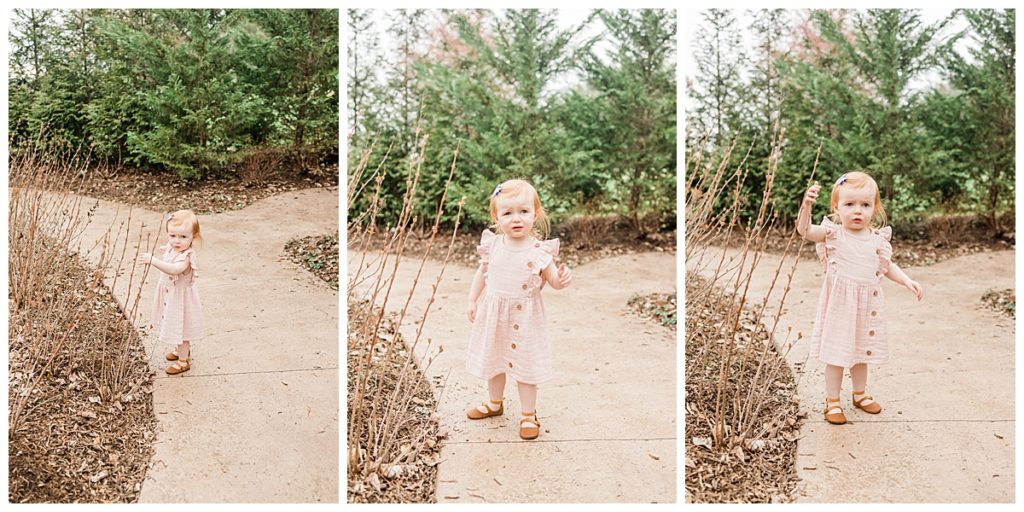 Two Year Old Birthday Portraits