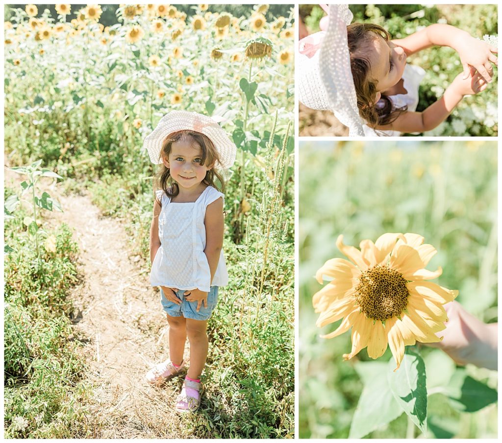 TWRA Sunflower Field Children Photos