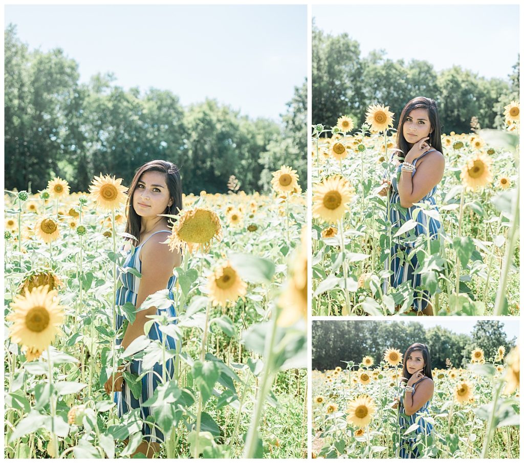 Female portraits in the Knoxville Sunflower Field