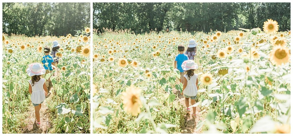 Children hiking through the Sunflower Field at TWRA