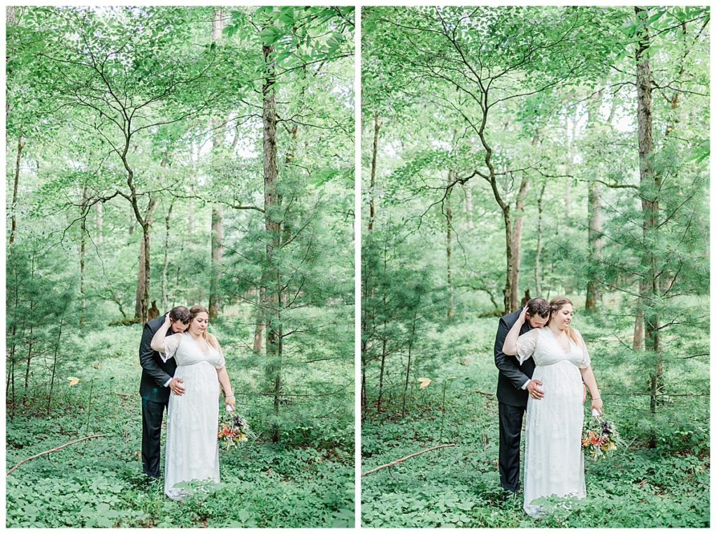 Gorgeous Greenery Photos in the Great Smoky Mountains