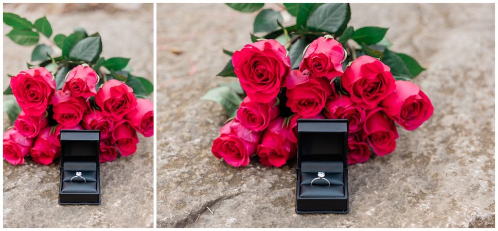engagement ring shot with roses
