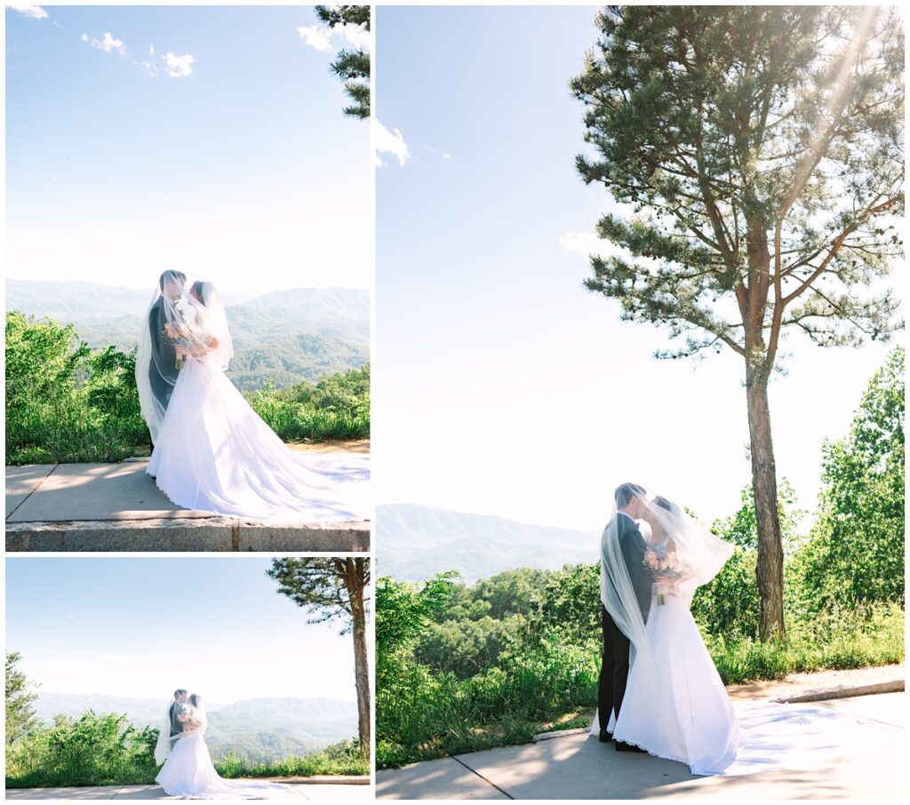 newlywed photos under the veil overlooking the smoky mountains